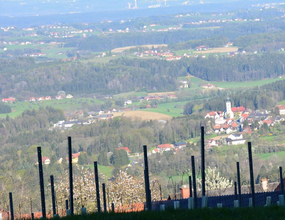 Weingut Seiner Vlg. Kraxner Villa Greisdorf Exterior foto