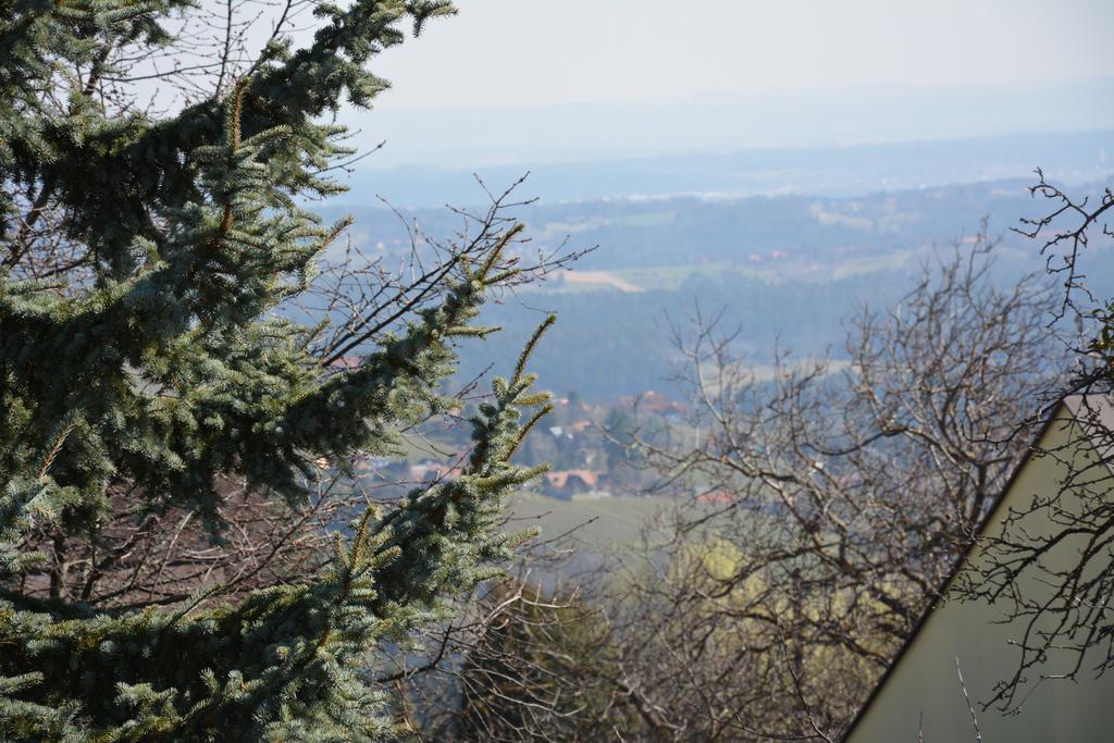 Weingut Seiner Vlg. Kraxner Villa Greisdorf Exterior foto